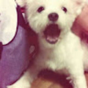 Meet your Posher, Juri